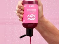 Snow Fairy Shampoo _ LUSH